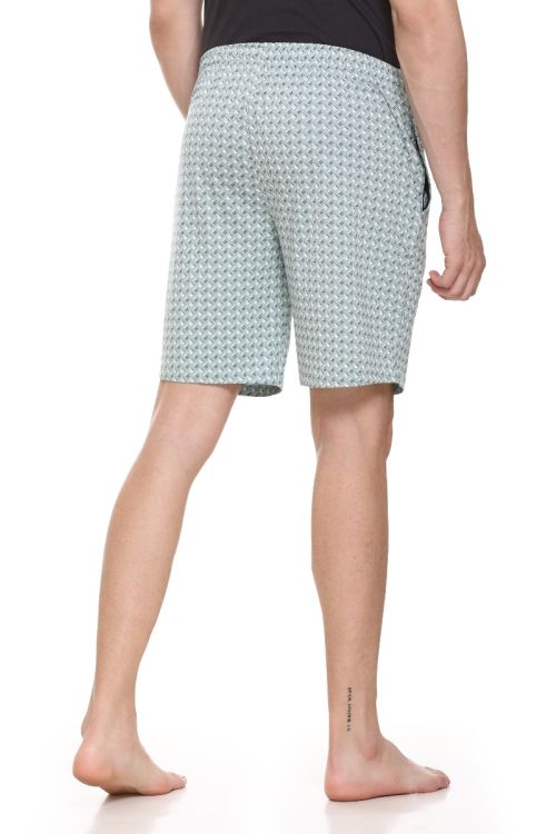 SeaGreen Shorts