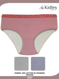 Women Hipster Cotton Spandex Panties (8013)