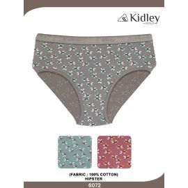 Women Hipster Cotton Panties (6072)