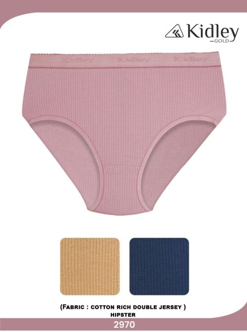 Women Hipster Cotton Rich Double Jersey Panties (2970)