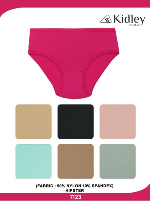 Women Hipster Nylon Spandex Panties (7123)