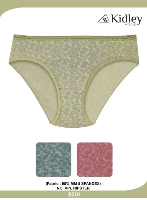 Women Hipster Spandex Panties (8210)