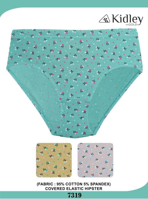 Women Hipster Cotton Spandex Panties (7319)